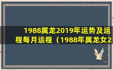 1988属龙2019年运势及运程每月运程（1988年属龙女2024年运势及运程详解华人开运网 🦄 ）